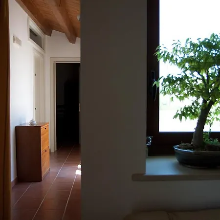 Alojamento de Acomodação e Pequeno-almoço La Casa Del Conte *